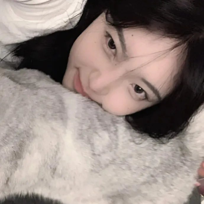 蜘蛛与郁金香